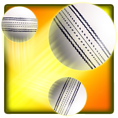 Swipe Cricket icon