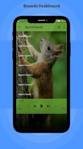 Squirrel Sounds screenshot 5