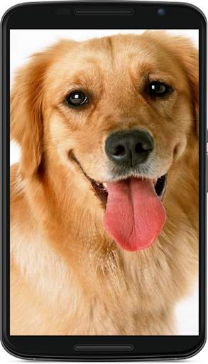 dog wallpaper screenshot 1