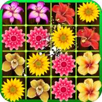 Blossom Crush Mania logo