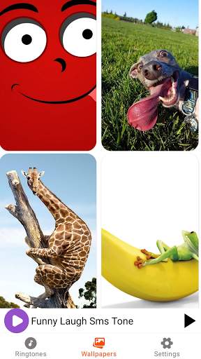 Funny SMS Ringtones - Super Fu screenshot 4