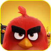 Angry Bird Wallpaper 1.0