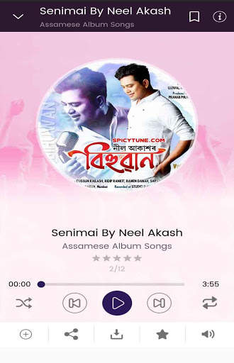 SpicyTune: Assamese Songs Play & Download screenshot 13