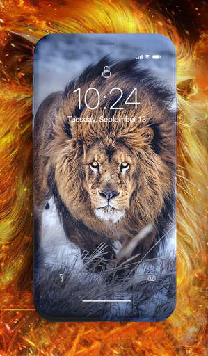 Lion Wallpaper screenshot 8