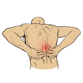 Back Pain Exercises 1 icon