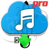Music  Paradise logo