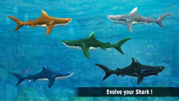 Shark Bite Attack 3D-Shark Games screenshot 5