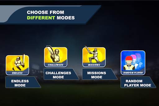 Cricket Champions screenshot 3