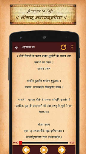 Bhagavad Gita Audio & Text screenshot 4