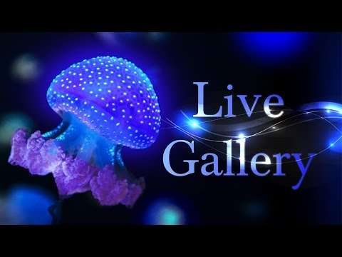 Live Gallery screenshot 2