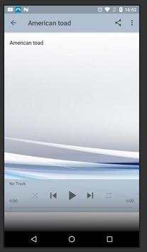 Frog Sounds screenshot 3