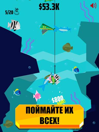 Go Fish! скриншот 13