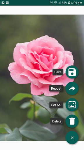 Status Saver for Whatsapp screenshot 3