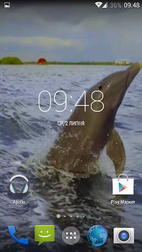 Dolphin 3d. Video Wallpaper स्क्रीनशॉट 2