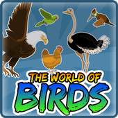 Bird Quiz 1.0.1