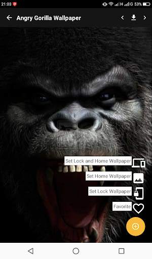 Angry Gorilla Wallpaper स्क्रीनशॉट 1