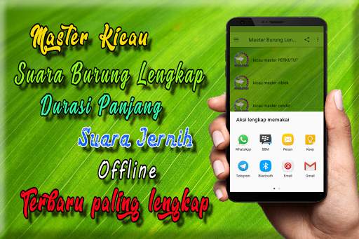 Suara Burung Lengkap MP3 screenshot 5