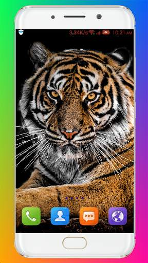 Tiger Wallpaper HD screenshot 13