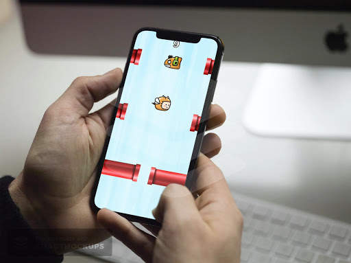 Dancing Cactus And Bird Fall screenshot 4