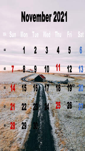 New Year Calendar Wallpaper 2021 screenshot 14