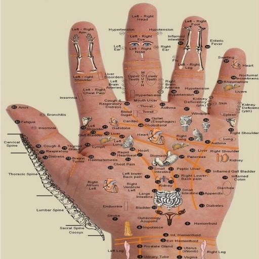 Acupressure Disease Point icon