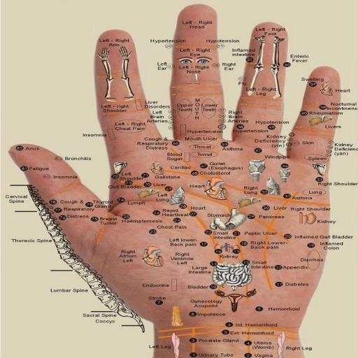 Acupressure Disease Point 1.0