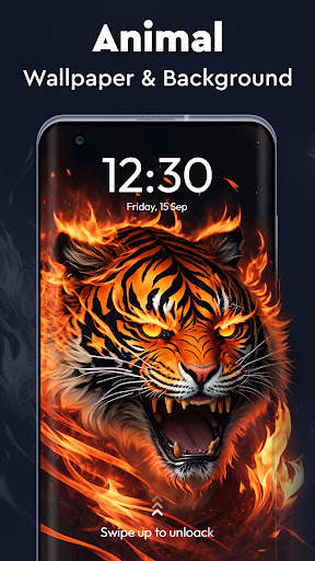 HD Wallpapers & 4K Backgrounds screenshot 2
