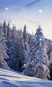 Snow Winter Forest 2015 स्क्रीनशॉट 4