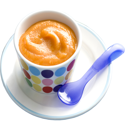 Babyfood Recipes icon