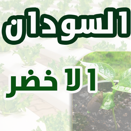 السودان الاخضر أيقونة