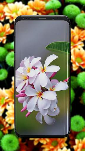 Flower Wallpaper screenshot 1