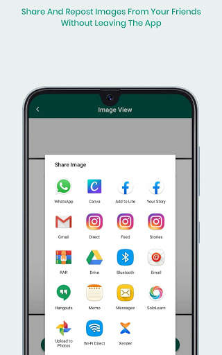 HaveIt - Download video, music and images offline screenshot 2