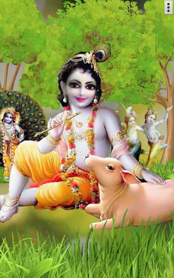 4D Krishna Live Wallpaper screenshot 11