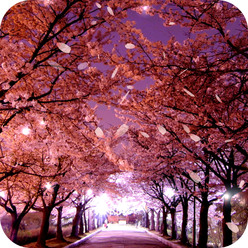 Sakura Live Wallpaper icon
