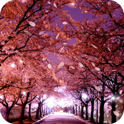 Sakura Live Wallpaper 4.0.1