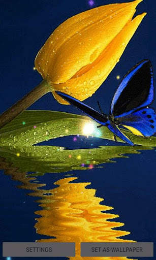 Blue Butterfly Live Wallpaper screenshot 1