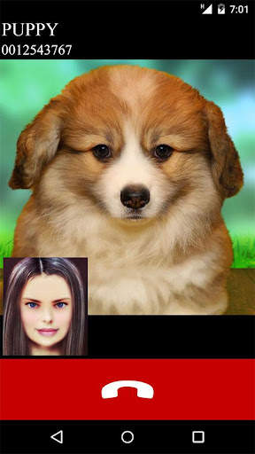 fake call video puppy game screenshot 2
