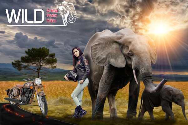 Wild Animal Photo Editor : Animal In Photo screenshot 2
