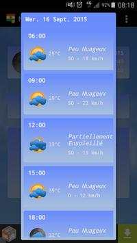 Niger Weather screenshot 2