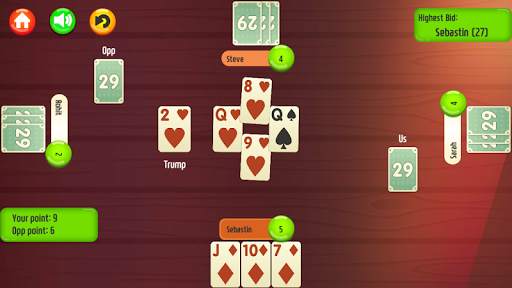 29 Card Game * PLUS screenshot 2
