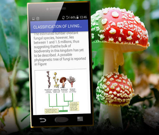 Biological classification screenshot 5