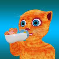Help Cat