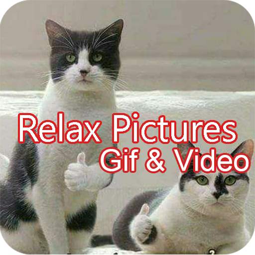 Relax Pictures, Gif And Video 1.1