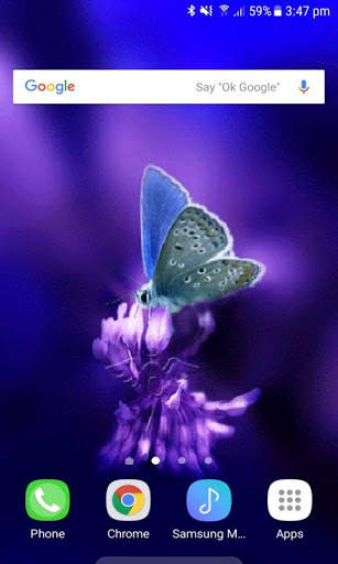 3d Butterfly Live Wallpaper скриншот 2