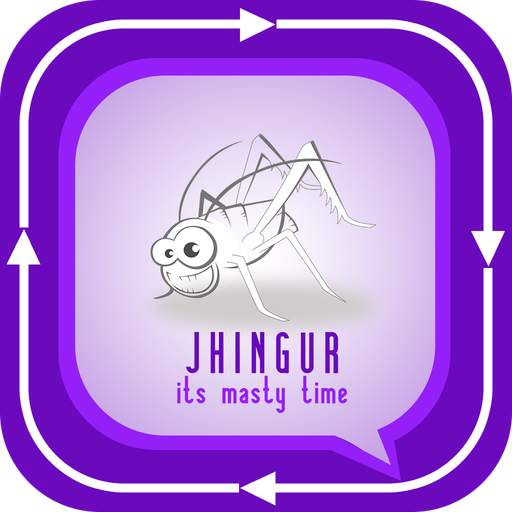 Jhingur private  anonymous chat messenger feedback 1.00.13