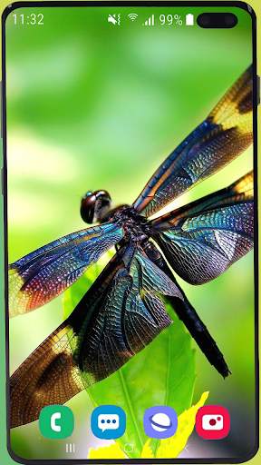 Dragonfly Wallpaper Best HD screenshot 2