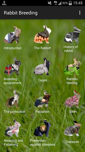 Rabbit breeding screenshot 2