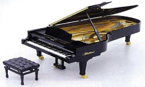 Piano Playing Styles screenshot 1