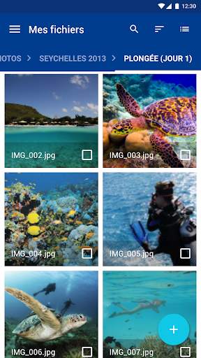 IONOS HiDrive screenshot 3