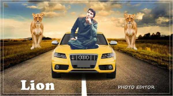 Lion Photo Editer 2020 screenshot 2
